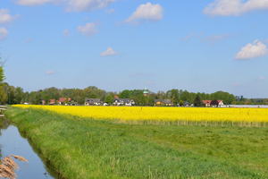 Ochsenwerder.JPG