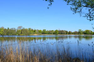 Eichbaumsee.JPG