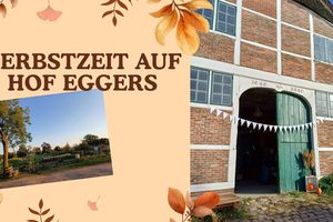 HofEggers-Herbst.jpg