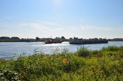 Blick auf die Elbe in Neuengamme